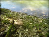 My Gallery: Image
